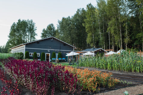 Looking back through the Matthews farm at rows of produce and flowers with the tasting room in the background