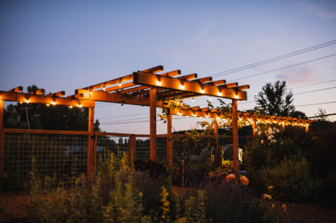 String lights along a wood trellis at dusk