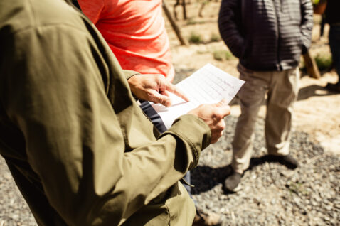Looking over the vineyard manager pointing at a sheet of paper