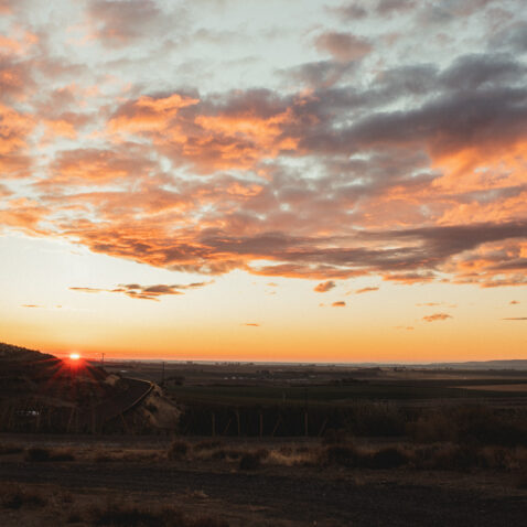 Pink and orange sunset over the vineyards