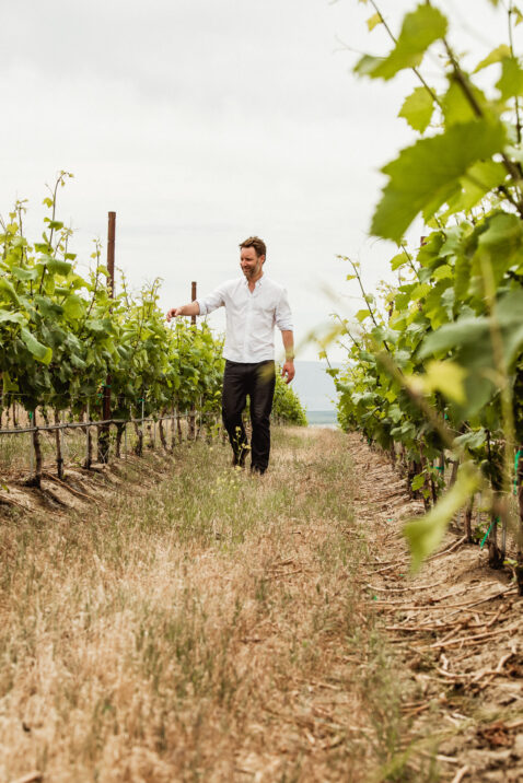 Owner Bryan Otis walking down a vineyard row checking on vines