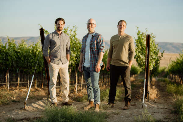 All three winemakers standing in front of vineyard rows