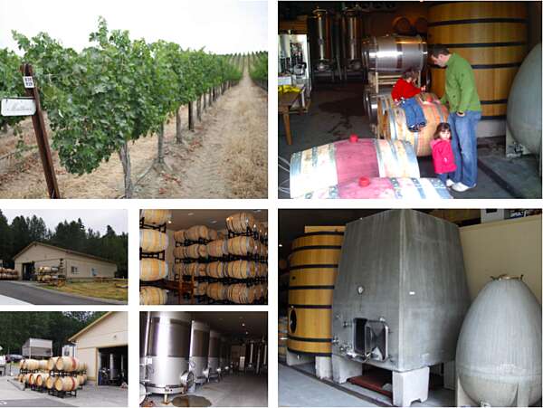 Collage: Green vineyard row, concrete tank and egg, barrels,  Matthews tasting room, stainless steel tanks