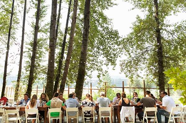 A far away view of a group of people seated at a long dining table outside under the trees