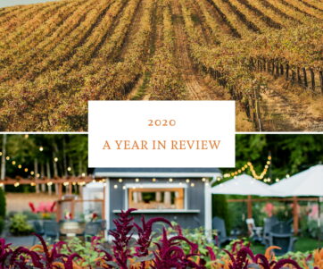 Collage: golden vineyard rows on top, magenta flowers on the Matthews farm below, blog title in the middle